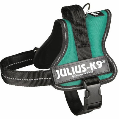 Dog Harness JuliusK9 Black Green M Mini