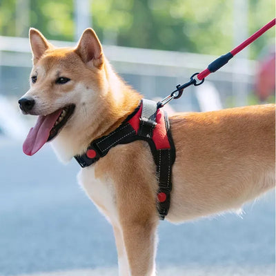 Pettorina Cani Regolabile Guinzaglio Riflettente Imbracatura Traspirante Accessori Animali Domestici