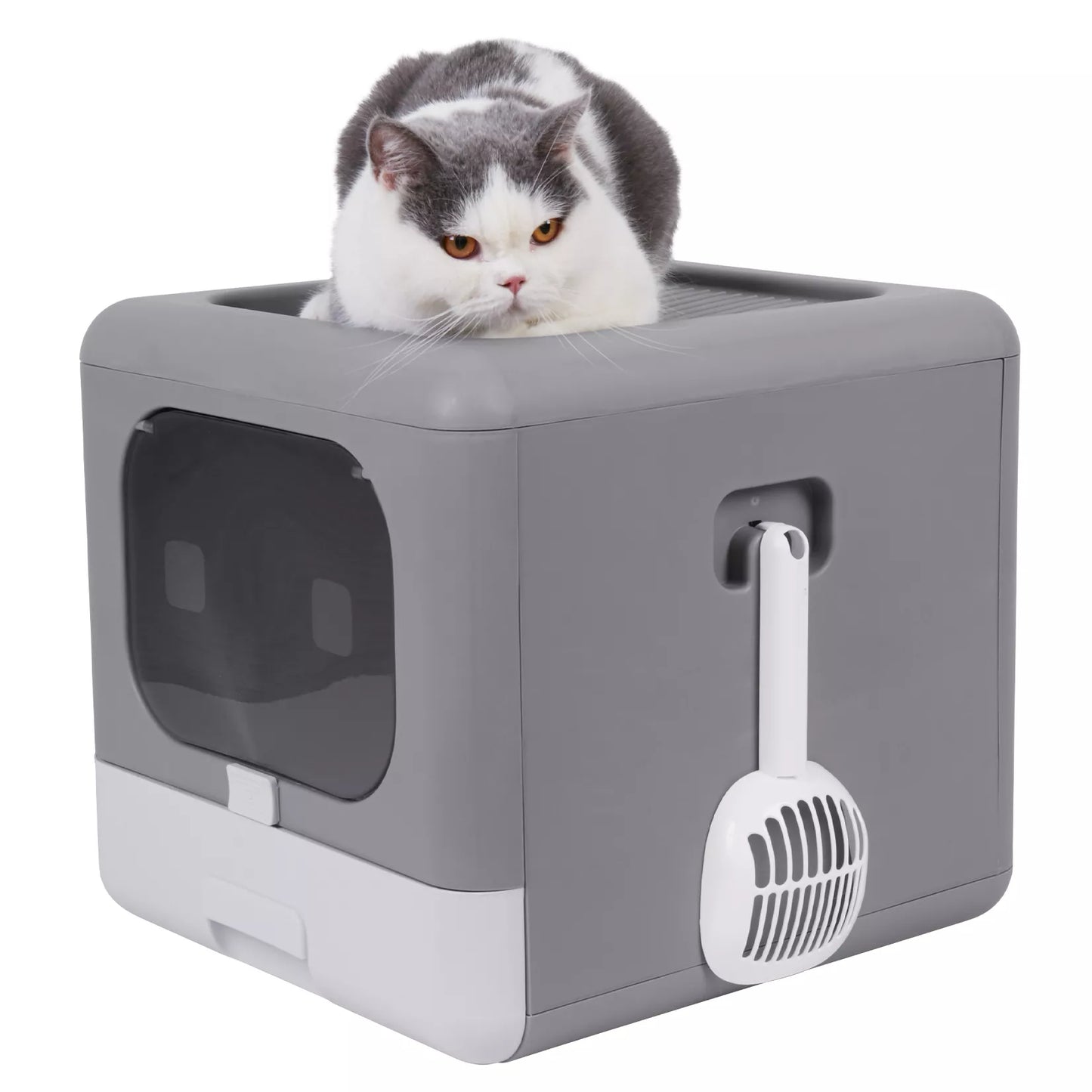 Lettiera Gatto Taglia Media Grande Pieghevole Cassetto Accessori Animali Domestici