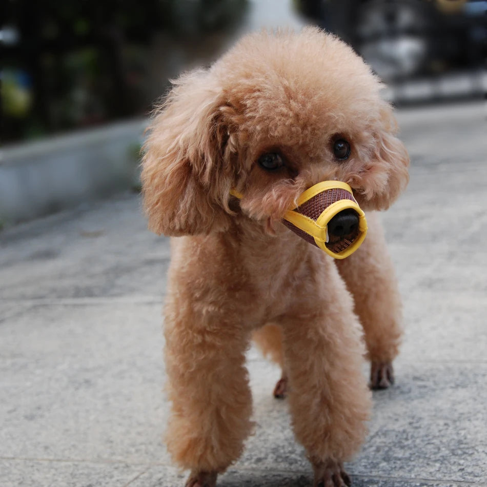 Museruola Cane Piccola Taglia Regolabile Traspirante Anti Morso Accessori Animali Domestici