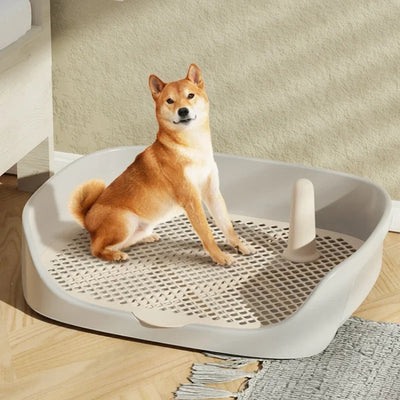 Toilette Cani Gatti Addestramento Cuccioli Vasino Igiene Pulizia Animali Domestici