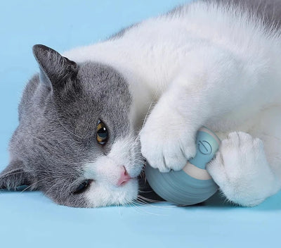 Pelota interactiva, juguete electrónico para gatos, batería, mascotas divertidas 