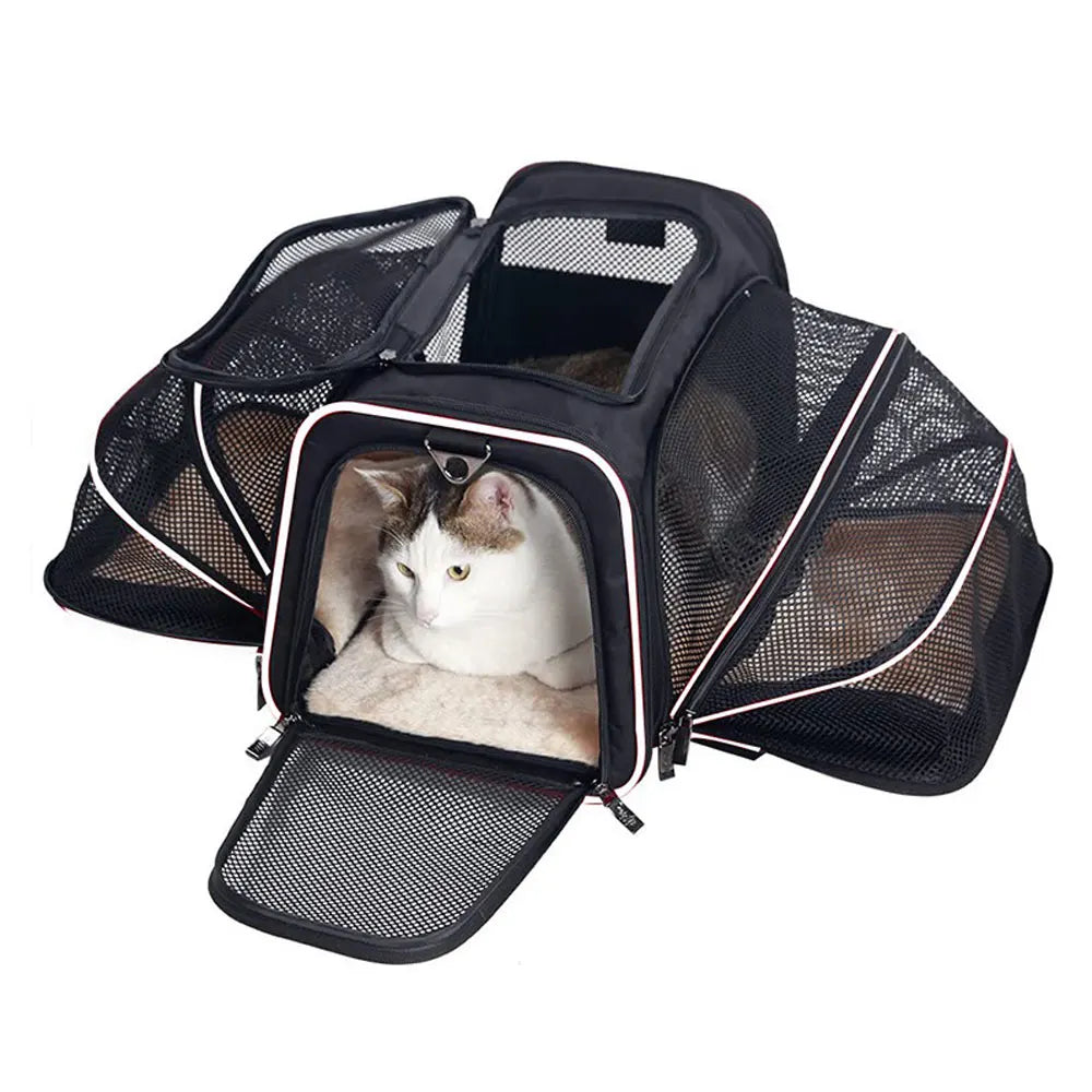 Trasportino Cani Gatti Viaggio Portatile Borsa Animali Domestici