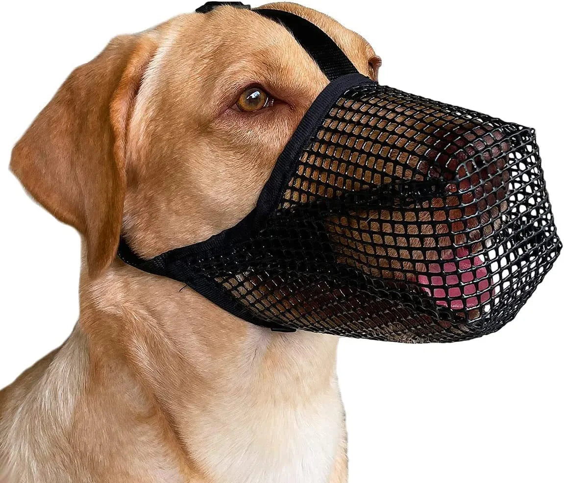 Museruola Cane Rete Anti Morso Traspirante Comoda Copertura Bocca Maschera Accessori Animali Domestici