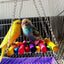 Giocattolo Uccelli Pappagallo Altalena Gabbia Divertimento Antistress Accessori Animali Domestici