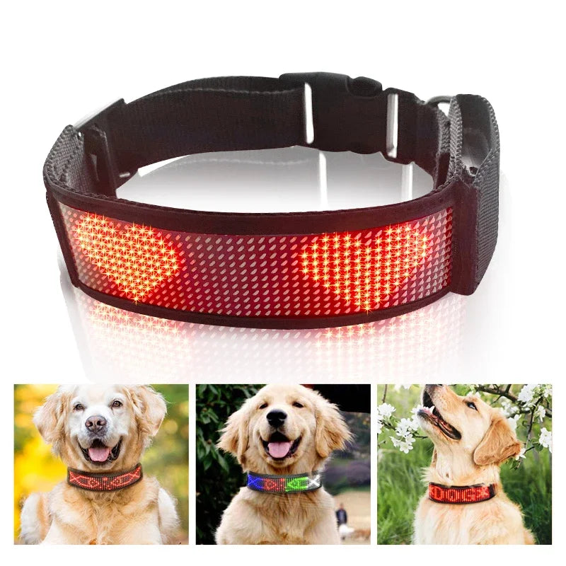 Collare Cane Luminoso LED regolabile APP Bluetooth Leggero Resistente Animali Domestici
