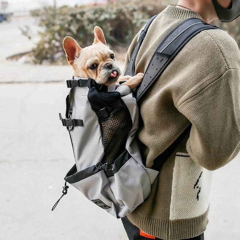 Trasportino Cane Borsa Zaino Viaggio Traspirante Sicurezza Trasporto Animali Domestici