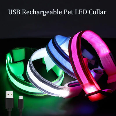 Collare Cane Gatto Ricaricabile USB Batteria Luminoso Lampeggiante Riflettente LED Animali Domestici