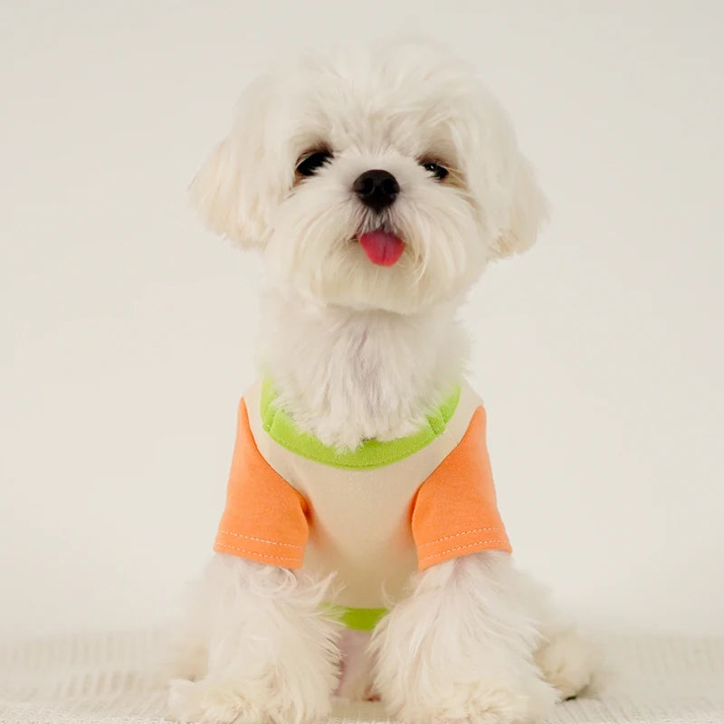 Maglietta Cani Taglia Piccola Cotone Traspirante Abbigliamento Animali Domestici