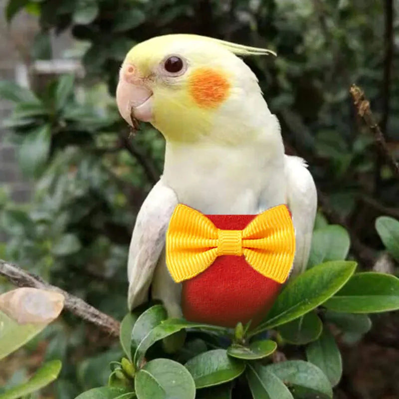 Bird Diaper Clothes Clothing Parrot Birds Delicate Cotton Bow Tie Pet Accessories 