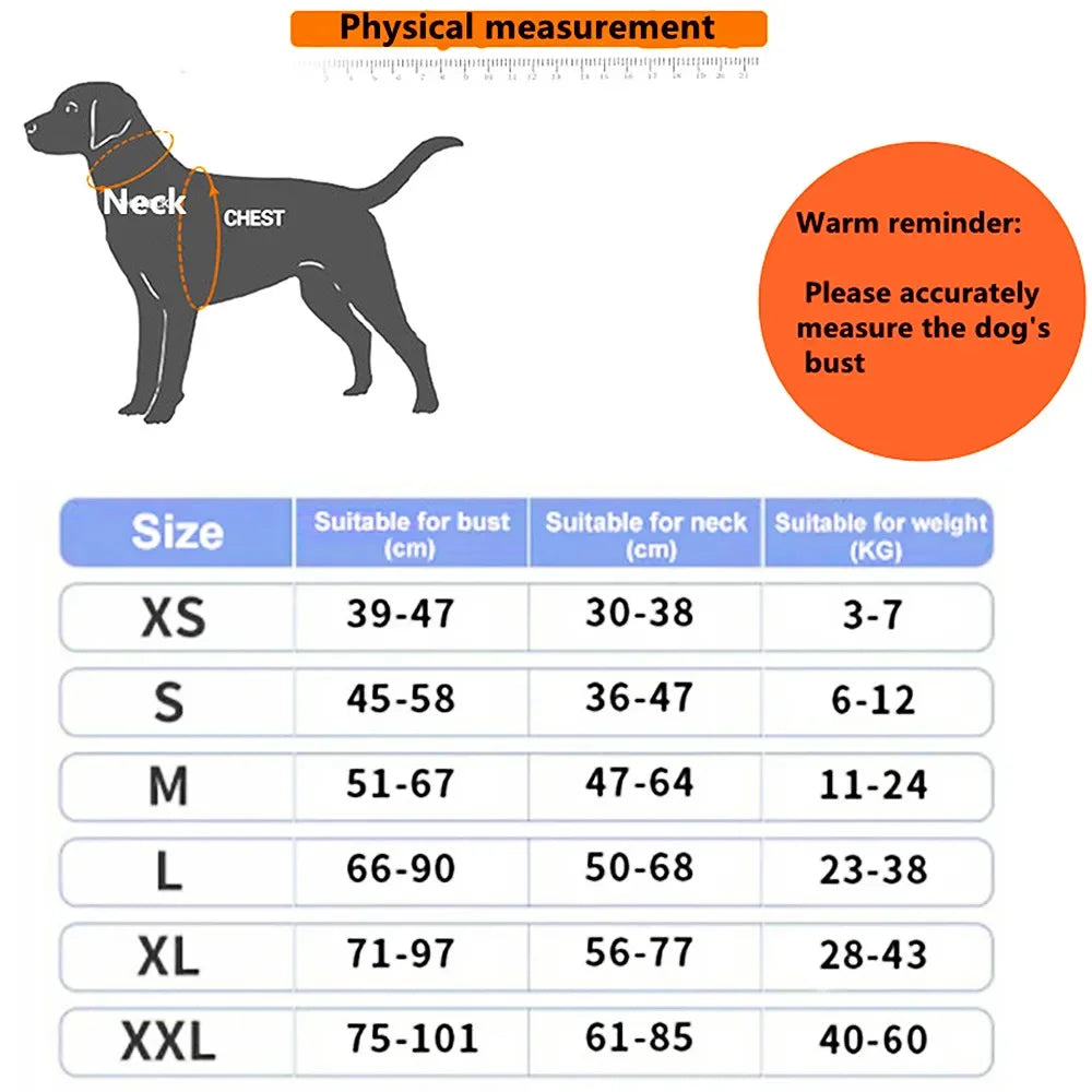 Pettorina Cane Guinzaglio Resistente Morbido Traspirante Durevole Animali Domestici