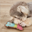 Giocattolo Cani Masticare Antistress Divertimento Morbido Accessori Animali Domestici