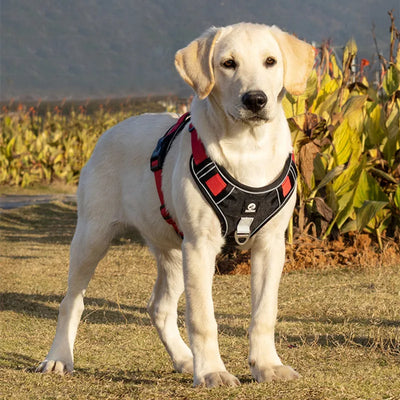 Arnés ajustable para perros, accesorios para mascotas, entrenamiento de seguridad, reflectante transpirable 