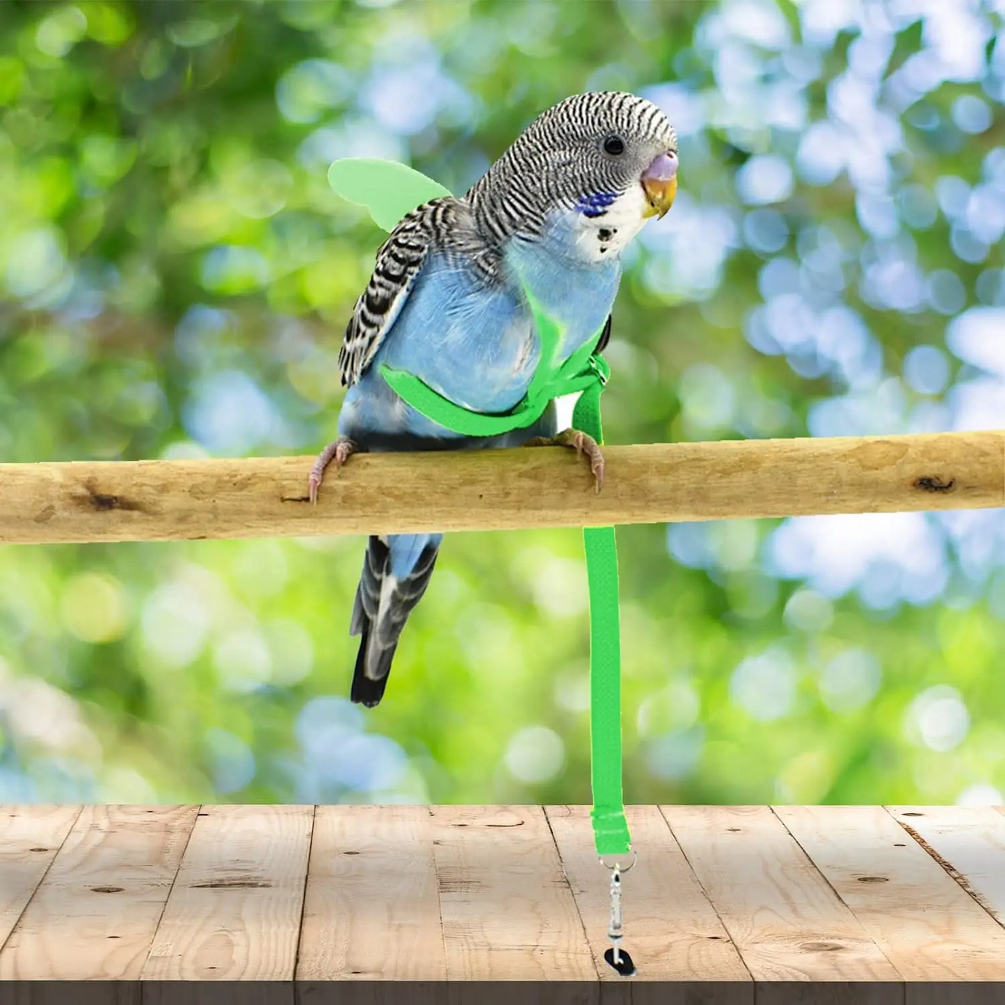 Bird Leash Harness Parrot Bird Training Rope Durable Elastic Nylon Adjustable 