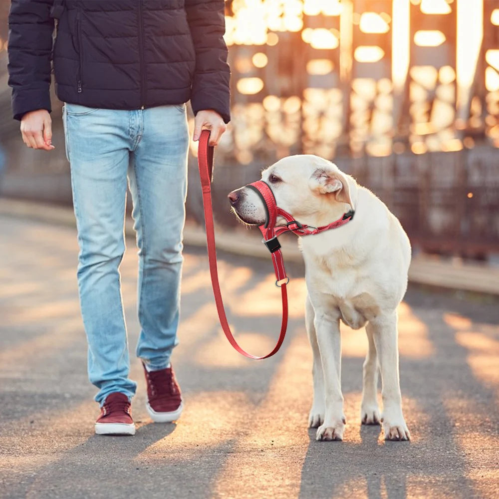 Museruola Cane Taglia Media Grande Anti Morso Regolabile Guinzaglio Accessori Animali Domestici