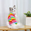 Tutina Gatto Abbigliamento Animali Domestici Colorata Leggera Multicolore