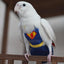 Bird Harness Parrots Diaper Adjustable Flight Suit Pet Accessories 