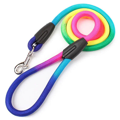 Colorful Adjustable Collar Dog Leash Pet Accessories Training 