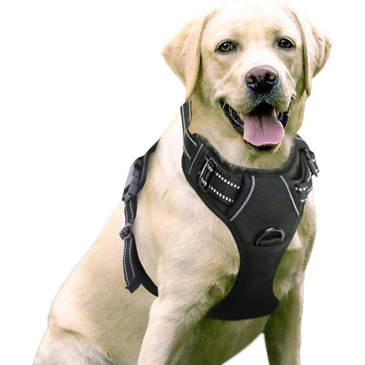 Pettorina Cane Imbracatura Gilet Traspirante Regolabile Riflettente Animali Domestici