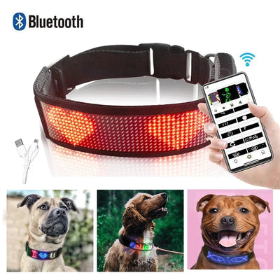Collare Cane Luminoso LED regolabile APP Bluetooth Leggero Resistente Animali Domestici