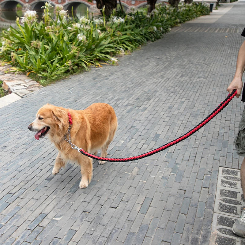 Guinzaglio Cani Resistente Intrecciato Nylon Passeggio Accessori Animali
