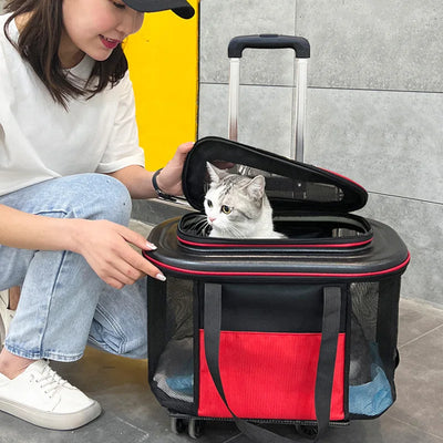 Trasportino Cani Gatti Piccola Taglia Trolley Viaggio Portatile Quattro Ruote Trasporto Animali Domestici