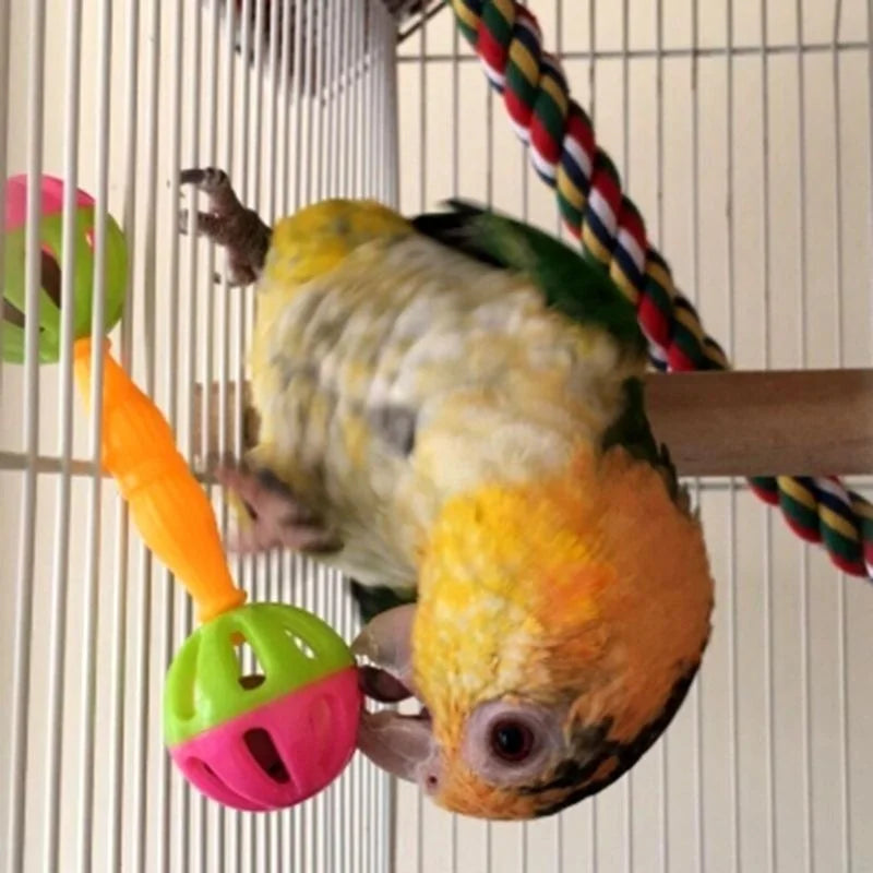 Parrot Bird Toy Fun Bite Bell Double Head Pet Accessories 