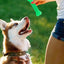 Juguete para perros Hueso para masticar Caucho Accesorios divertidos para mascotas 