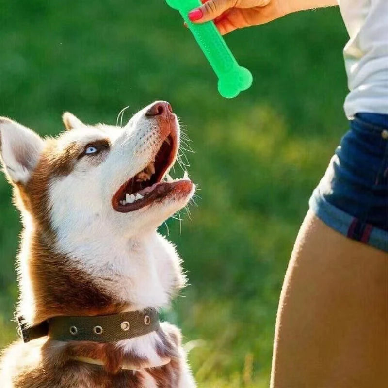 Giocattolo Cane Masticare Osso Gomma Divertimento Accessori Animali Domestici