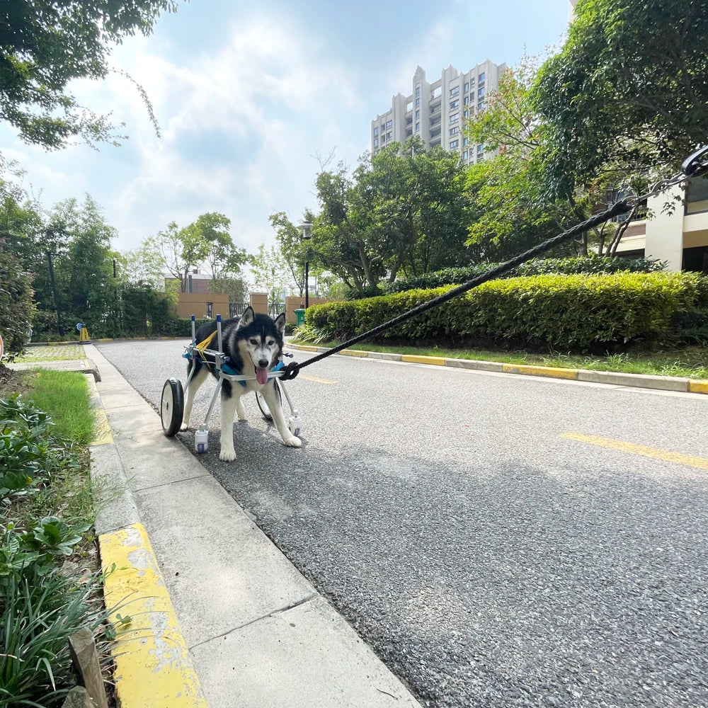 Sedia Rotelle Cane Fascia Addominale Protezione Colonna Vertebrale Regolabile Portatile Resistente Disabilità Sicurezza Montaggio Animali Domestici