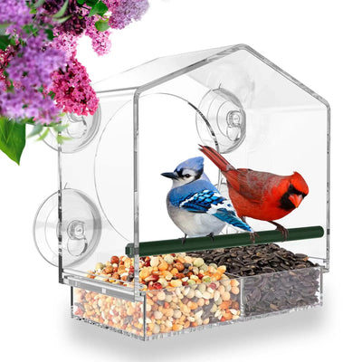 Mangiatoia Uccelli Gabbia Ciotola Cibo Contenitore Trasparente Impermeabile Accessori Animali Domestici
