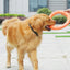 Interactive Dog Toy Reduces Stress Fun Pet Game Accessories 