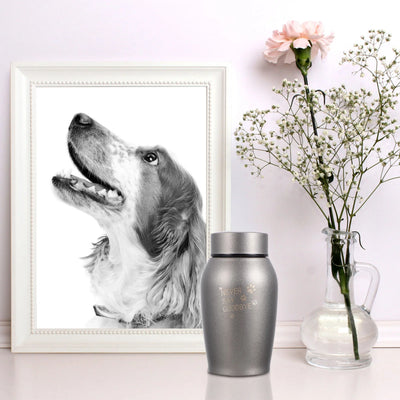 Urn Pets Dog Cat Funeral Memorials Ashes Cremation Stainless Steel 
