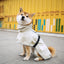 Impermeabile Cani Cappuccio Antipioggia Antivento Accessori Abbigliamento Animali Domestici