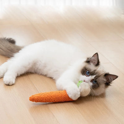 Juguete interactivo para gatos, juego de zanahoria con sonido, 2 piezas, accesorios divertidos para mascotas 