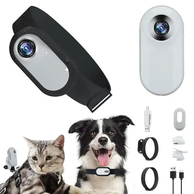 Telecamera Cane Gatto Video Collare Wireless Animali Domestici