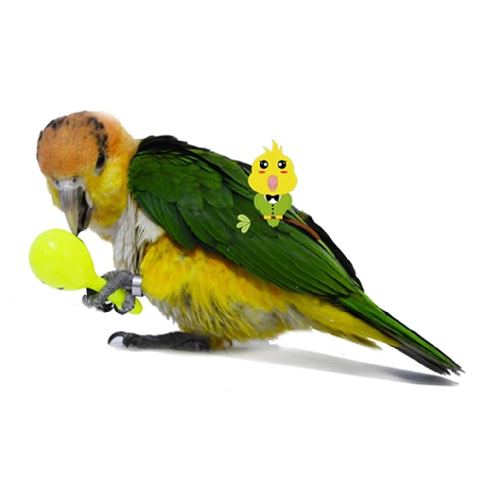 Parrot Bird Toy 3 Pieces Rattle Bell Maracas Bite Fun 