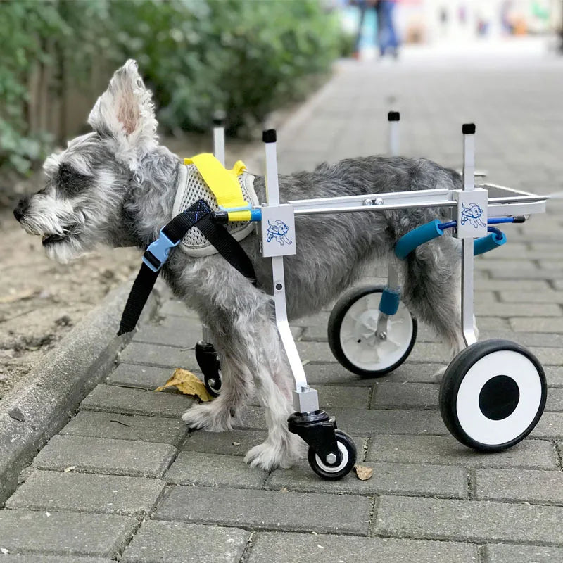 Sedia Rotelle Cane Fascia Addominale Protezione Colonna Vertebrale Regolabile Portatile Resistente Disabilità Sicurezza Montaggio Animali Domestici