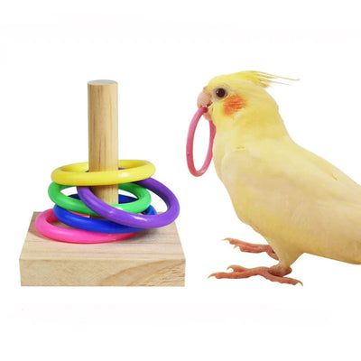 Giocattolo Uccello Pappagallo Gioco Intrattenimento Resistente Animali Domestici