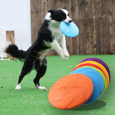 Giocattolo Cane Disco Interattivo Frisbee Resistente Morsi Addestramento Accessori Animali Domestici