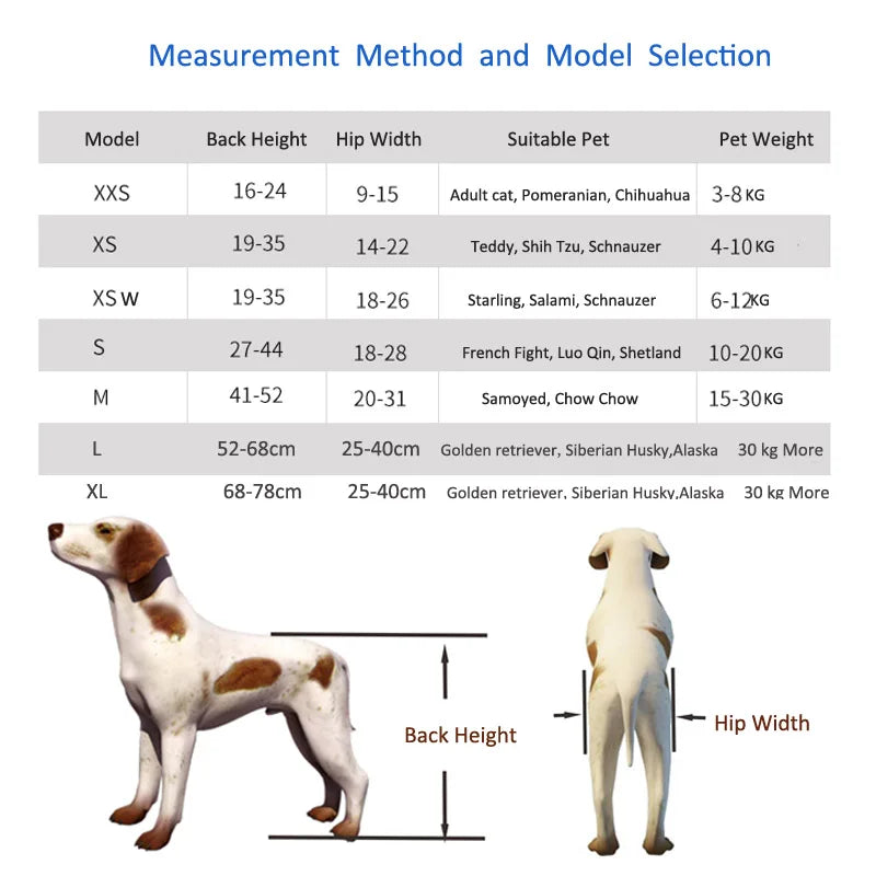 Sedia Rotelle Cane Fascia Addominale Protezione Colonna Vertebrale Regolabile Portatile Resistente Disabilità Sicurezza Montaggio Animali Domestici