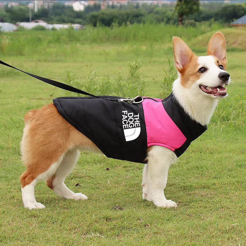 Chaqueta de plumón para perro de tamaño pequeño y mediano, ropa impermeable acolchada, cierre de cremallera, Otoño Invierno 