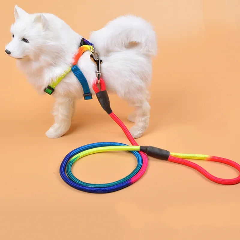 Entrenamiento ajustable colorido de los accesorios del animal doméstico de la correa de perro del collar 
