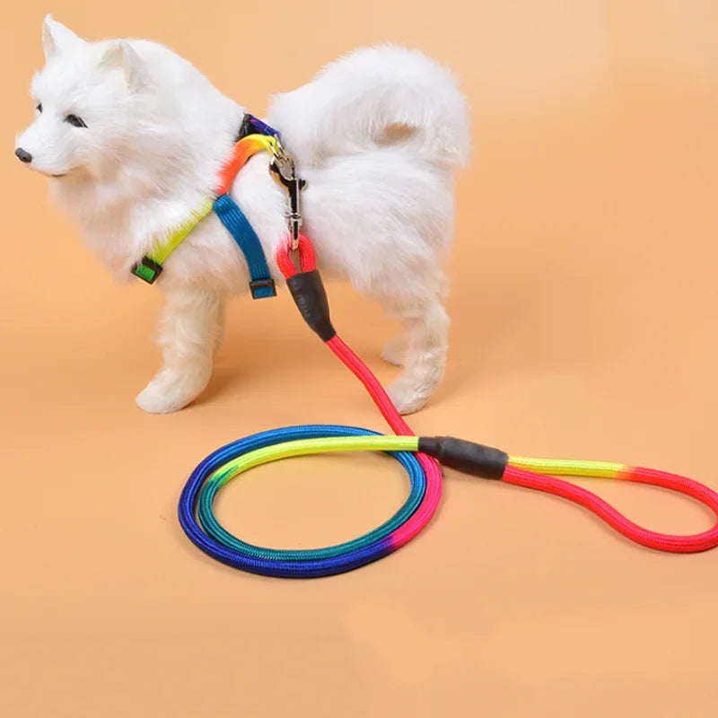 Colorful Adjustable Collar Dog Leash Pet Accessories Training 