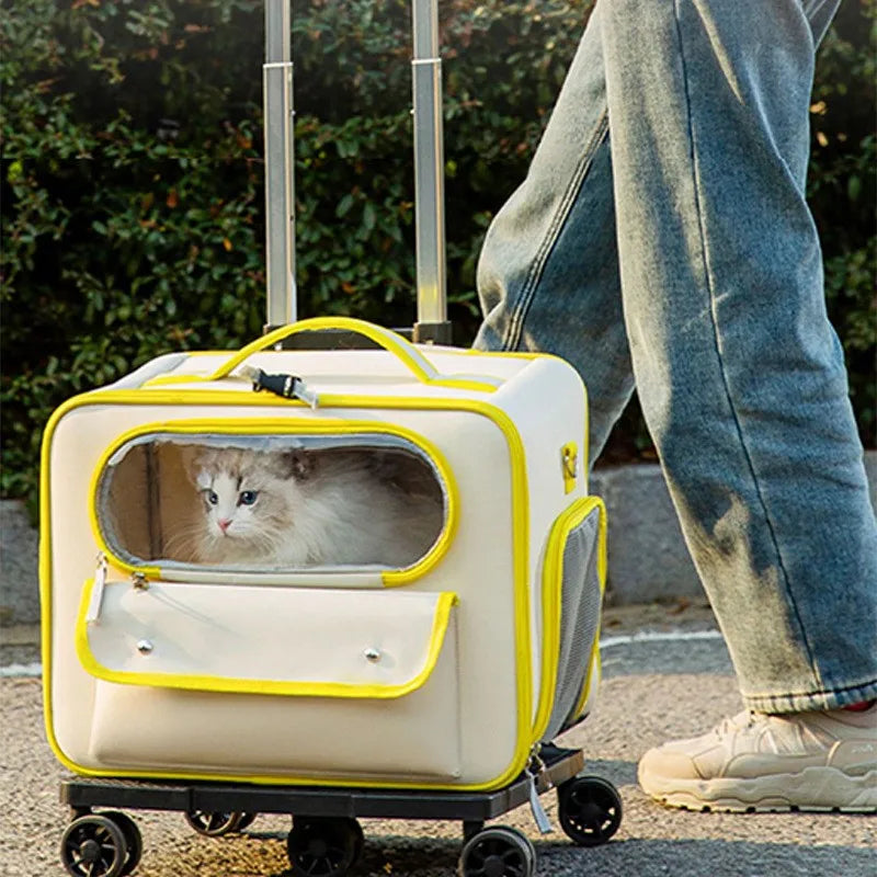 Trasportino Cane Gatto Trolley Roditori Traspirante Viaggio Comodo Animali Domestici