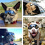 Occhiali Cane Viaggio Sole Protegge Regolabile Comodo Stabile Animali Domestici