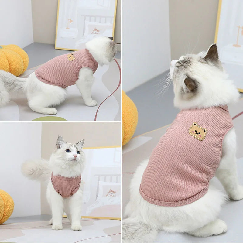 Maglietta Gatti Stampa Cotone Abbigliamento Accessori Animali Domestici