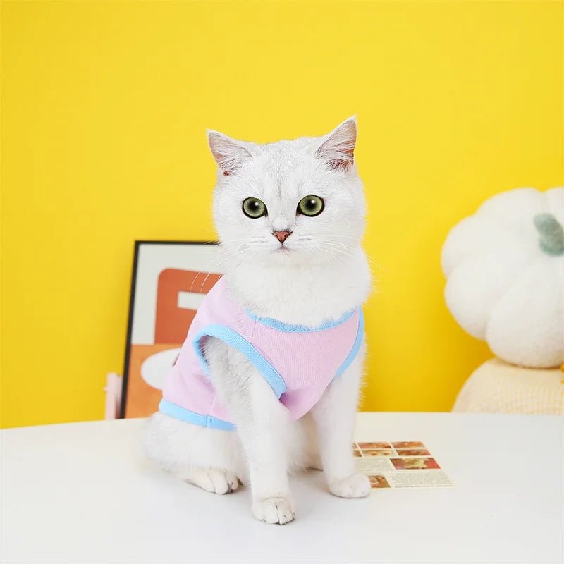 Abbigliamento Cane Gatto Maglie Estive Comode Filtranti Animali Domestici - PELOSAMICI