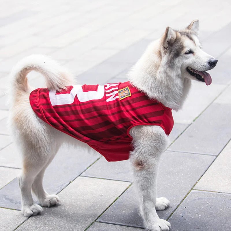 Abbigliamento Cane Sportivo Estivo Confortevole Leggera Lavabile Animali Domestici - PELOSAMICI