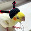 Abbigliamento Uccello Roditore Comodo Resistente Traspirante Animali Domestici - PELOSAMICI